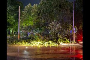 Δράμα: Πτώσεις δέντρων από τους ισχυρούς ανέμους – 41 κλήσεις στην Πυροσβεστική