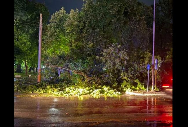 Δράμα: Πτώσεις δέντρων από τους ισχυρούς ανέμους – 41 κλήσεις στην Πυροσβεστική