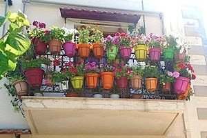 Την Τρίτη στον Δημοτικό Κήπο η απονομή των βραβείων στον διαγωνισμό “Πρασινίζουμε τον κήπο ή το μπαλκόνι μας”
