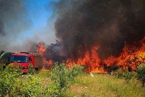 Πυροσβεστική: 44 αγροτοδασικές πυρκαγιές το τελευταίο 24ωρο