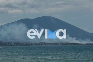 Μεγάλη φωτιά στη Χαλκίδα στη θέση Μπουρνώντα: Mήνυμα από το 112, σηκώθηκαν εναέρια μέσα