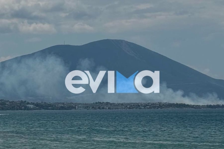 Μεγάλη φωτιά στη Χαλκίδα στη θέση Μπουρνώντα: Mήνυμα από το 112, σηκώθηκαν εναέρια μέσα