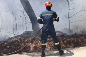 Πυροσβεστική: 37 αγροτοδασικές πυρκαγιές το τελευταίο εικοσιτετράωρο