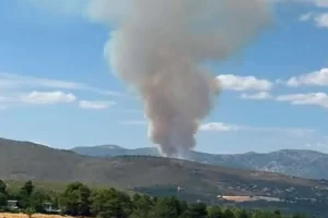 Φωτιά στην Οινόη: Επιχειρούν εναέρια μέσα