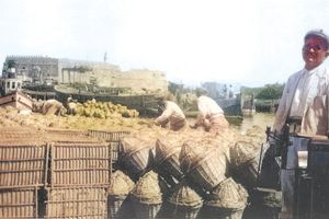 Αρχές 1930… Κρητική σταφίδα…