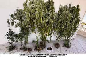 Είχε μετατρέψει το περιφραγμένο του οικόπεδο σε…”βοτανικό κήπο” – Χειροπέδες για καλλιέργεια και κατοχή ναρκωτικών