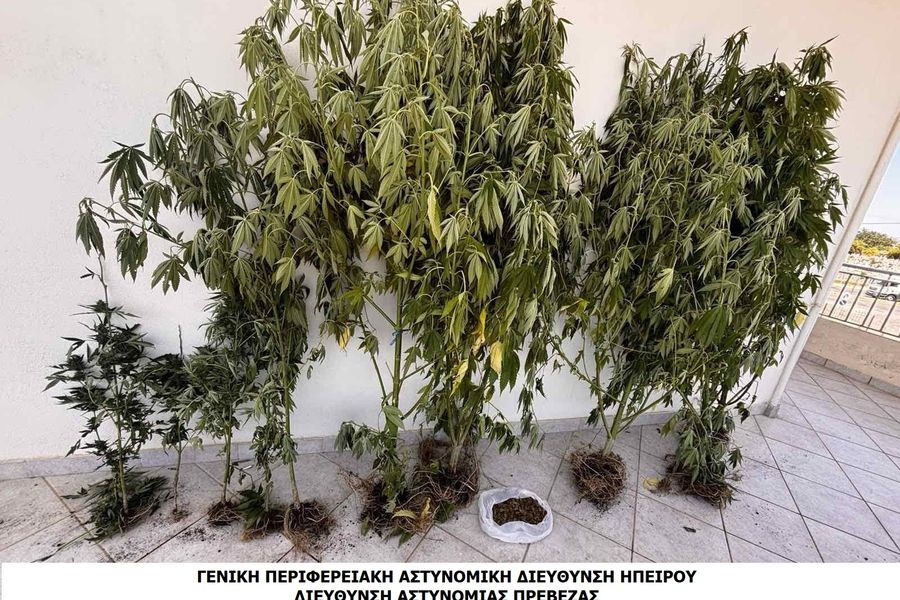 Είχε μετατρέψει το περιφραγμένο του οικόπεδο σε…”βοτανικό κήπο” – Χειροπέδες για καλλιέργεια και κατοχή ναρκωτικών