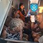 Οι αφανείς ήρωες μιας τραγωδίας: Ο καπετάνιος που κέρδισε το θαυμασμό αλλά και μια ζημιά