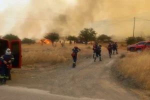 Φωτιά τώρα στην Επίδαυρο: Ενισχύθηκαν οι δυνάμεις, σηκώθηκαν 6 εναέρια