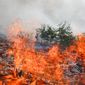 Δύσκολες ώρες σε Ισπανία και Γαλλία: Η φωτιά σχημάτισε μέτωπο 200 χιλιομέτρων στη Μαδρίτη, 270.000 άνθρωποι άφησαν τα σπίτια τους