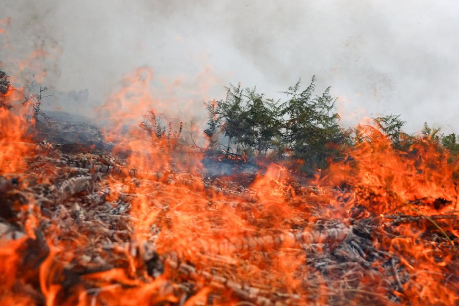 Δύσκολες ώρες σε Ισπανία και Γαλλία: Η φωτιά σχημάτισε μέτωπο 200 χιλιομέτρων στη Μαδρίτη, 270.000 άνθρωποι άφησαν τα σπίτια τους