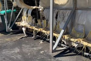 Δεν γλίτωσε ούτε το γήπεδο στις Μέλαμπες από τη μανία της φωτιάς (pics)