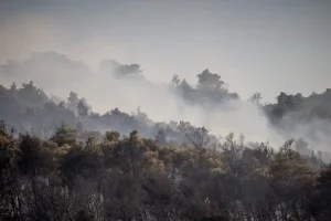 Η φωτιά στην Οινόη «δημιούργησε» τον δικό της καιρό – Το φαινόμενο που ανησύχησε τους ειδικούς