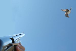 Πυροβόλησε για τα πουλιά, πέτυχε περαστικό: Απίστευτο ατύχημα με αεροβόλο