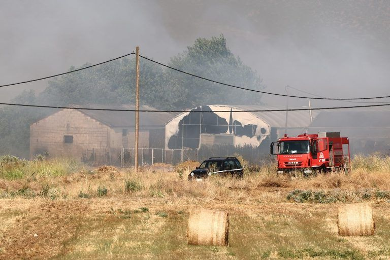 Θεσσαλονίκη: Οριοθετήθηκαν οι φωτιές σε Νεοχωρούδα και Σουρωτή