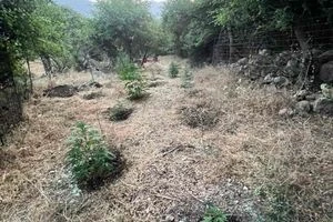 ΟΦΗ: Η ΠΑΕ πήγε στο μνήμα του Θεόδωρου Βαρδινογιάννη το Κύπελλο
