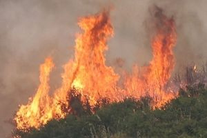 Οι ισχυροί άνεμοι δεν επιτρέπουν, τουλάχιστον έως τώρα, την δράση των εναέριων μέσων στο νότιο Ρέθυμνο