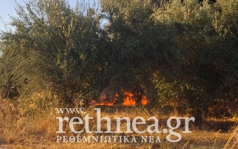 Συναγερμός στην Πυροσβεστική – Φωτιά στον Μυλοπόταμο