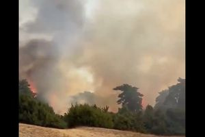 Ολλανδία: Εκατοντάδες πυροσβέστες δίνουν μάχη με τις φλόγες για την κατάσβεση δασικής πυρκαγιάς σε φυσικό καταφύγιο στο νοτιοανατολικό τμήμα της χώρας