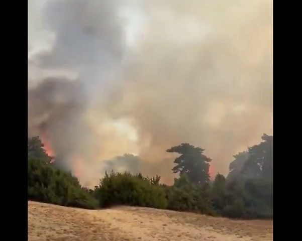 Ολλανδία: Εκατοντάδες πυροσβέστες δίνουν μάχη με τις φλόγες για την κατάσβεση δασικής πυρκαγιάς σε φυσικό καταφύγιο στο νοτιοανατολικό τμήμα της χώρας