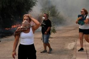 Πανελλήνιος Ιατρικός Σύλλογος: Μέτρα προστασίας του πληθυσμού από τις εκτεταμένες πυρκαγιές