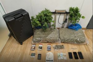 “Air Cannabis”: Στα χέρια της ΕΛ.ΑΣ. τριμελής σπείρα που εισήγαγε υδροπονική κάνναβη αεροπορικώς