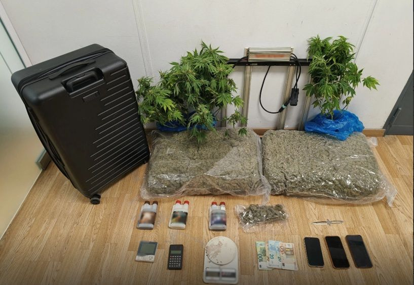 “Air Cannabis”: Στα χέρια της ΕΛ.ΑΣ. τριμελής σπείρα που εισήγαγε υδροπονική κάνναβη αεροπορικώς