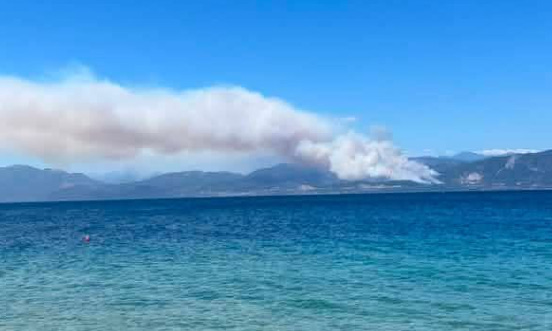Φωτιά στο Σκάλωμα Φωκίδας – Μεγάλη κινητοποίηση της Πυροσβεστικής