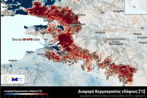 ΜΕΤΕΟ/Εθνικό Αστεροσκοπείο Αθηνών: Η απώλεια δασικής βλάστησης αυξάνει τις θερμοκρασίες επιφάνειας