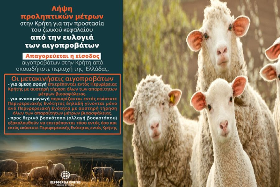 Παρατείνονται τα προληπτικά μέτρα στην Κρήτη για την ευλογιά των αιγοπροβάτων από την Παρασκευή 7 έως την Πέμπτη 20 Αυγούστου