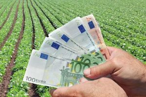 Άνοιξε η πλατφόρμα για ενισχύσεις de minimis ύψους 24,6 εκατ. ευρώ σε παραγωγούς