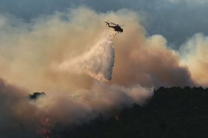 Λαγουβάρδος: Τα ισχυρότερα μελτέμια που έχουμε δει τα τελευταία 15 χρόνια σε Αττική και Κρήτη