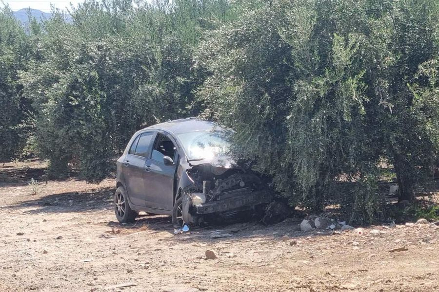 Μοίρες: Έχασε τον έλεγχο και καρφώθηκε σε ελιά