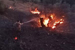 Φωτιά στα Σελλιά: Η συγγνώμη του ιδιοκτήτη της βίλας που ξεκίνησε η φωτιά από το μπάρμπεκιου – «Ζητώ ειλικρινά συγγνώμη από όλους όσοι αισθάνθηκαν ότι κινδύνευε η ζωή τους, το σπίτι τους ή η περιουσία τους»