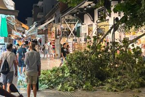 Ηράκλειο: Έπεσε μεγάλο κλαδί δέντρου στην αρχή της αγοράς