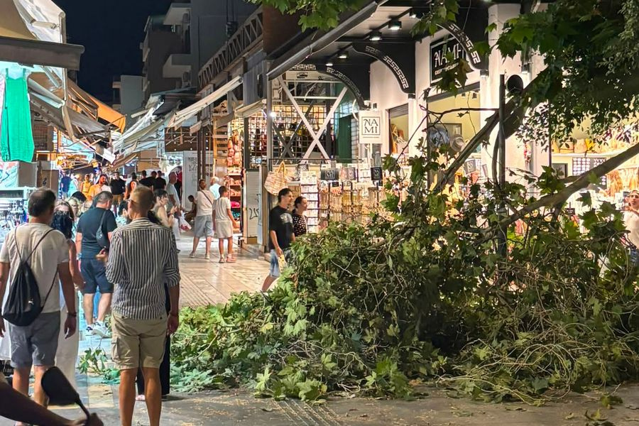 Ηράκλειο: Έπεσε μεγάλο κλαδί δέντρου στην αρχή της αγοράς