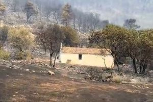 Viral βίντεο με το εκκλησάκι του Αρχάγγελου Μιχαήλ που έμεινε αλώβητο στη φωτιά – δείτε video