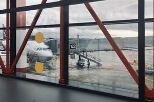 Μόσχα: Έχασαν την πτήση και μπήκαν στον αεροδιάδρομο με την βαλίτσα για να προλάβουν το αεροπλάνο