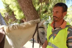 Άνδρος: Πρόστιμο 700 ευρώ σε αναβάτη αλόγου μετά από αλκοτέστ