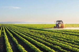 ΟΣΔΕ 2026: Μέσω myAGRO η Ενιαία Αίτηση Ενίσχυσης
