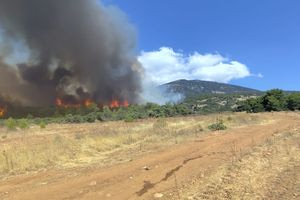 Φωτιά στην Κεφαλονιά: Ενισχύθηκαν οι δυνάμεις