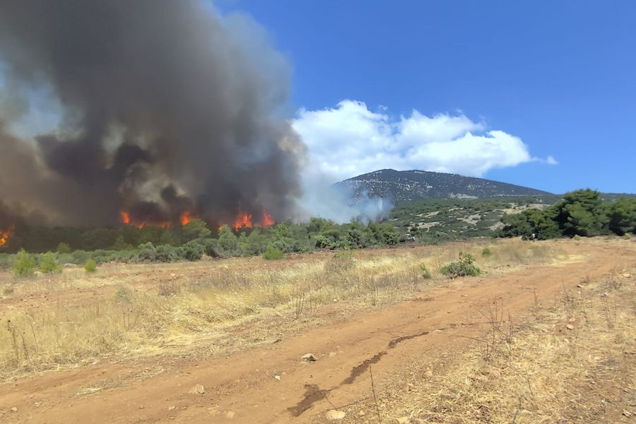 Φωτιά στην Κεφαλονιά: Ενισχύθηκαν οι δυνάμεις
