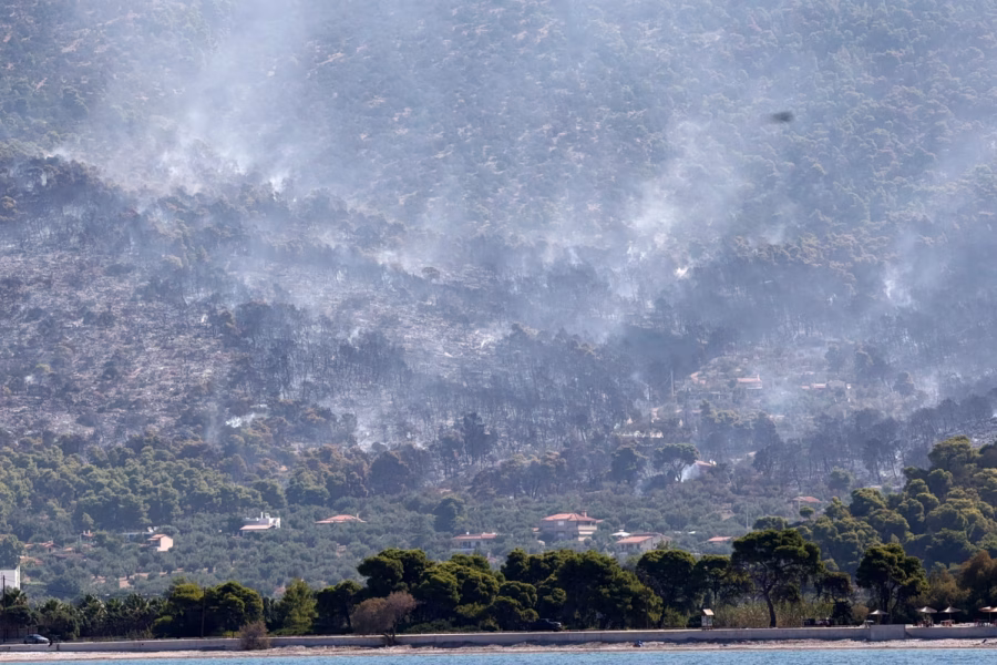 Βοιωτία: Αυτοψία κλιμακίου της Διεύθυνσης Αντιμετώπισης Εγκλημάτων Εμπρησμού στο σημείο μηδέν της μεγάλης πυρκαγιάς