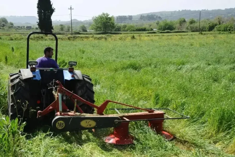 ΑΑΔΕ: Άνοιξε η πλατφόρμα για μεταβιβάσεις δικαιωμάτων αγροτικών ενισχύσεων