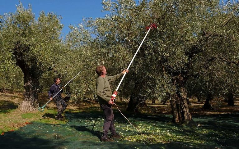 ΟΠΕΚΕΠΕ: Ανοιχτή από σήμερα η πλατφόρμα για αποζημιώσεις σε τρεις κατηγορίες παραγωγών