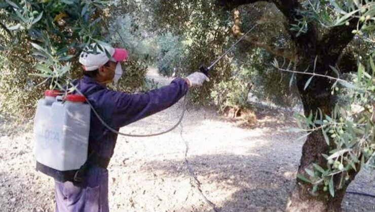 Υπογράφηκαν οι συμβάσεις για τα υλικά δακοκτονίας έως το 2028 και ξεκίνησαν οι παραδόσεις