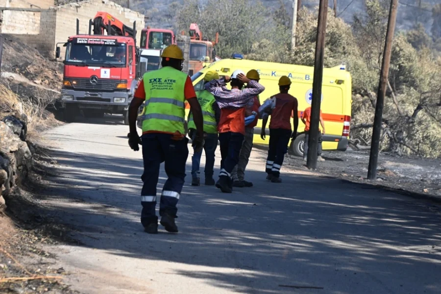 Εργαζόμενος του ΔΕΔΔΗΕ καταπλακώθηκε από κορμό δέντρου στην Αργολίδα κατά τη διάρκεια εργασιών αποκατάστασης του δικτύου
