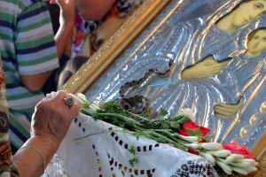Βγήκαν τα «Φιδάκια της Παναγίας» και φέτος στην Κεφαλονιά, το σπάνιο φαινόμενο που συμβαίνει κάθε Δεκαπενταύγουστο