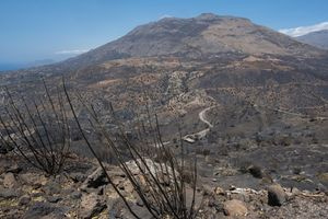 Αιτήσεις για αποζημιώσεις πυρόπληκτων επιχειρήσεων στον Δήμο Αγίου Βασιλείου στο Ρέθυμνο έως 1η Οκτωβρίου