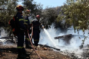 Δύο συλλήψεις για τη μεγάλη φωτιά στη Βοιωτία: Εντοπίστηκαν από βίντεο – Το σημείο μηδέν και η αυτοψία